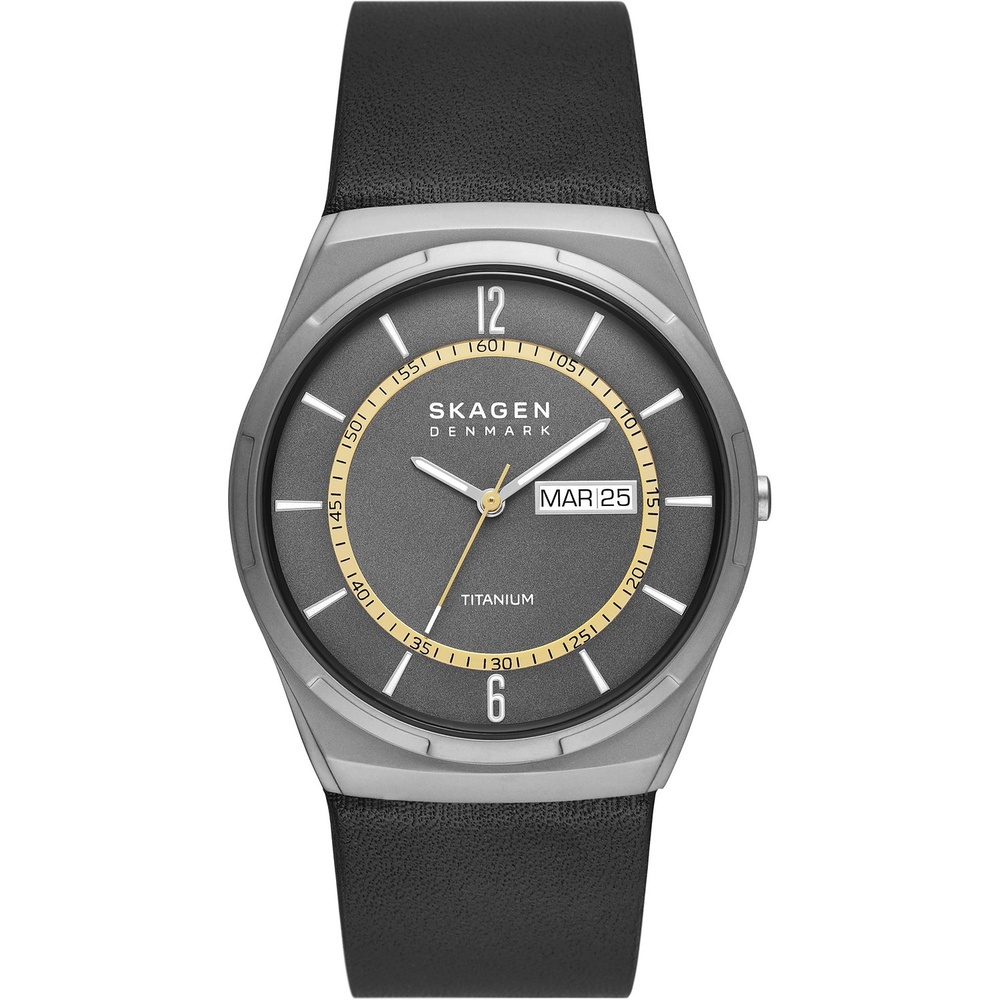 Skagen Montre pour hommes Titane Montre
