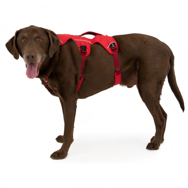 Ruffwear - Web Master Harness - Hundegeschirr