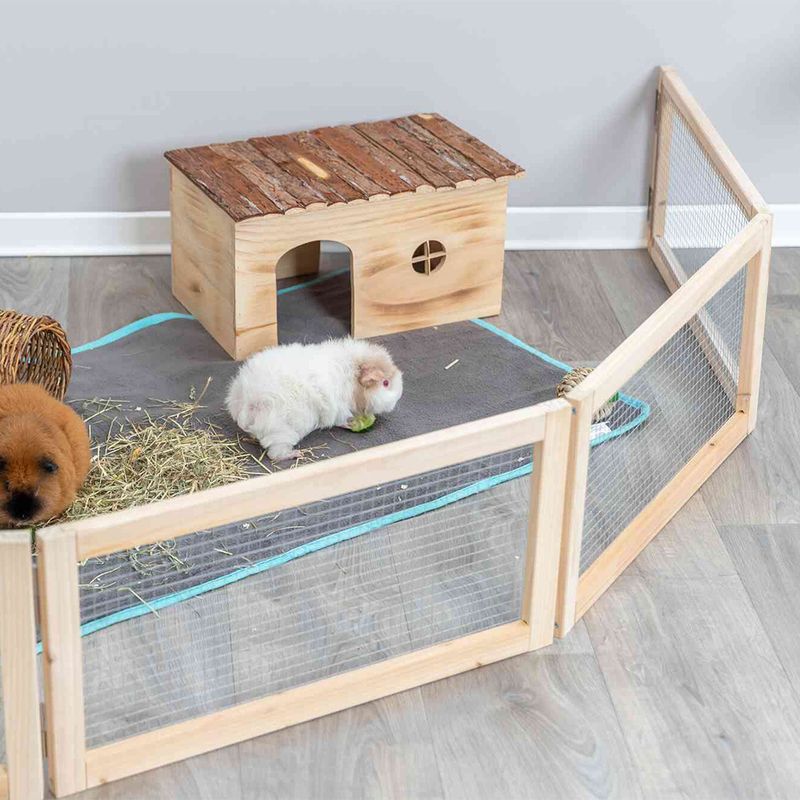 Trixie Indoor-Freilaufgehege für Meerschweinchen