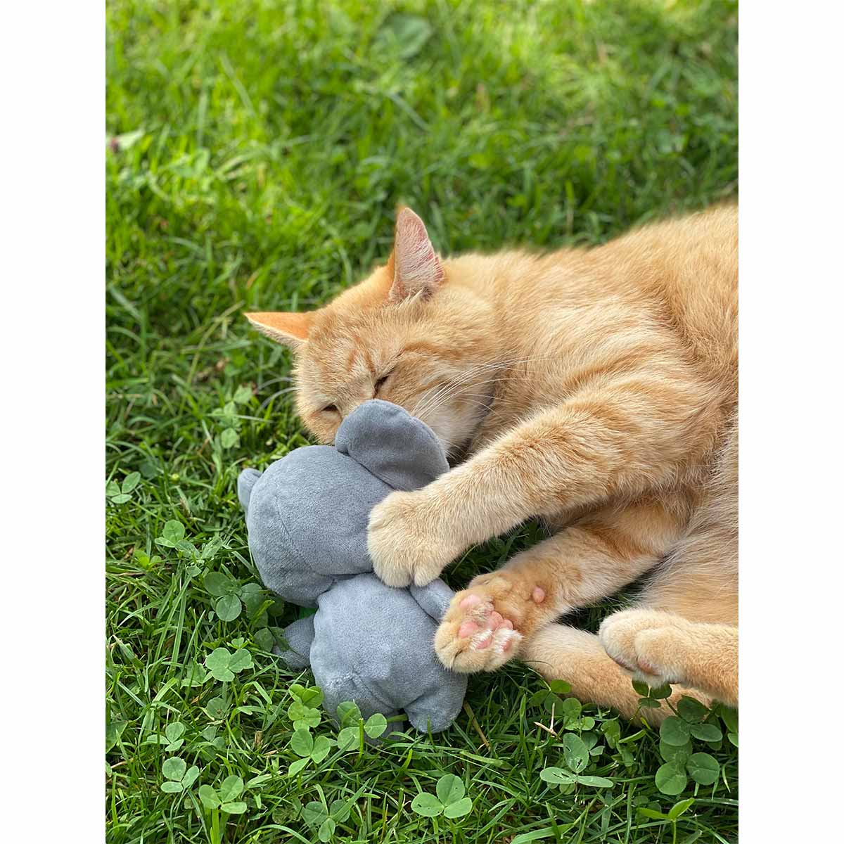 Aumüller Katzenspielzeug Koalabär Jack kaufen