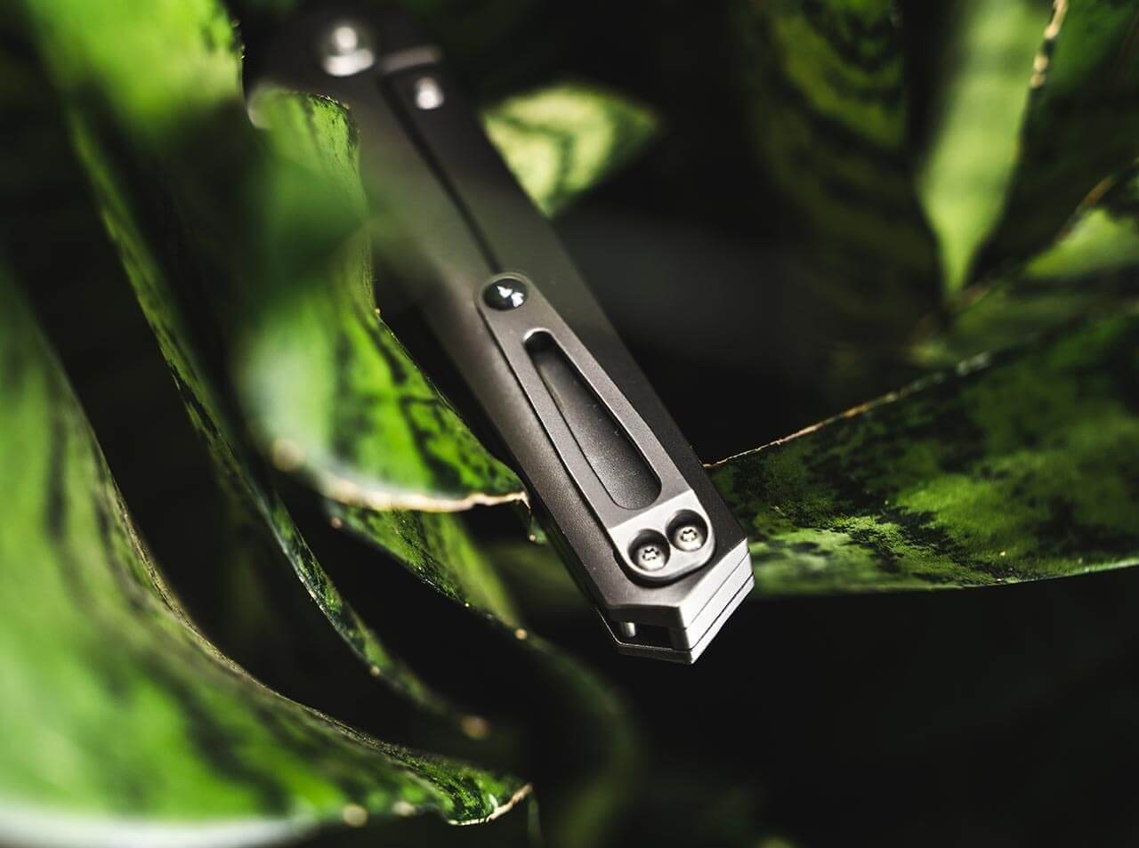 Kwaiken Mini Limited