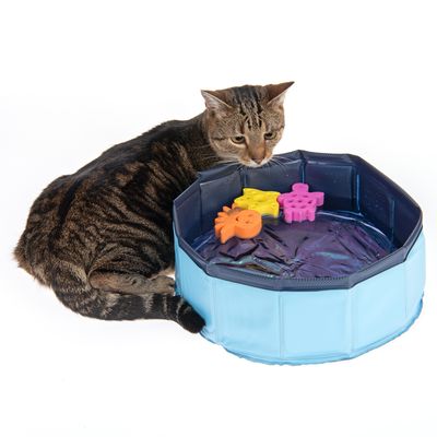 Kitty Pool mit schwimmfähigem Spielzeug