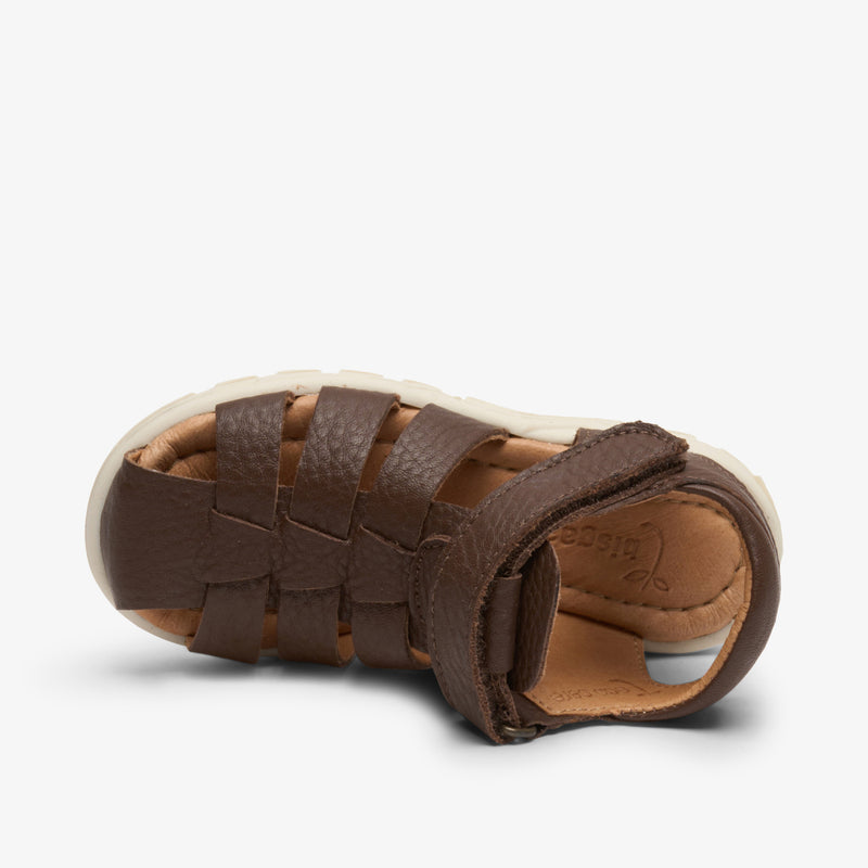 bagge o brown - Braun