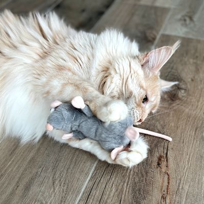 Aumüller Katzenspielzeug Ratte Cedric mit Baldrian