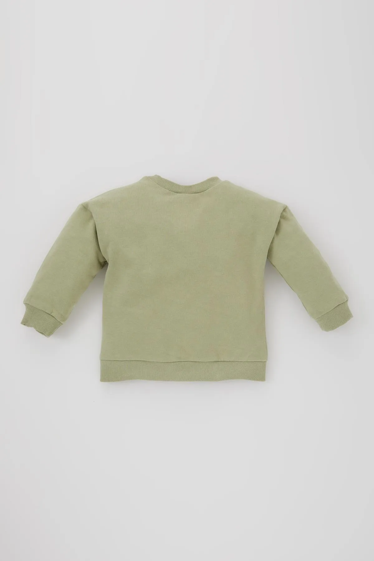 DeFacto  Bedrucktes, weich gefüttertes Sweatshirt mit Rundhalsausschnitt für Babys (Jungen).