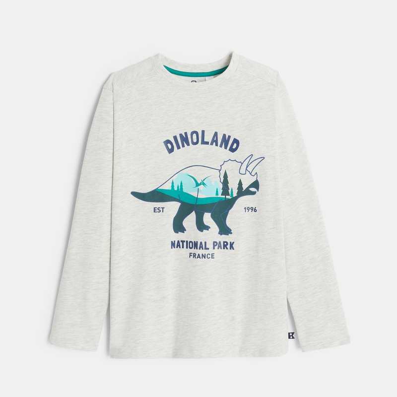 T-shirt manches longues motif dinosaure gris garçon