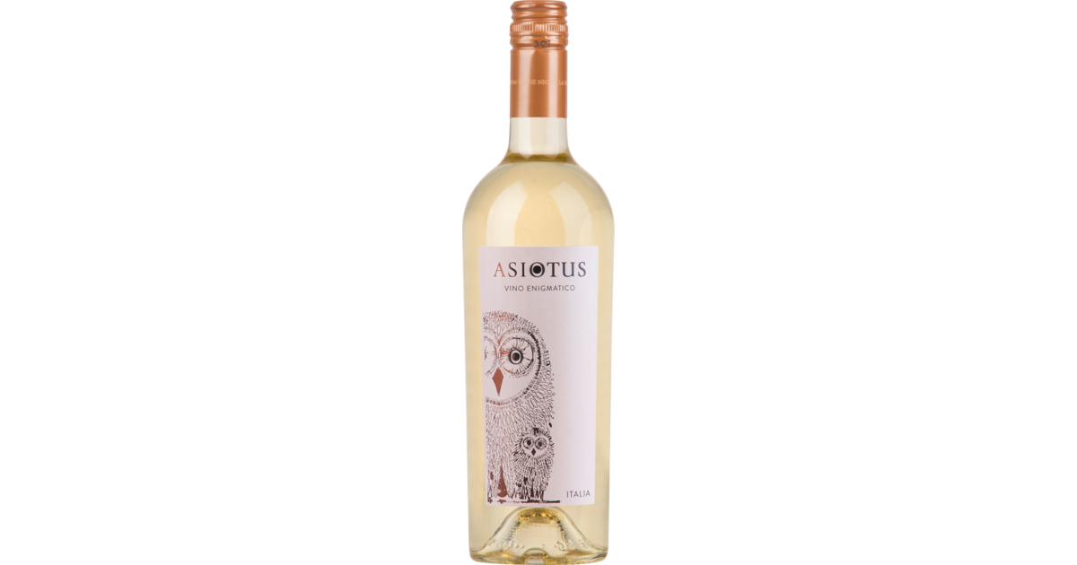 Asio Otus bianco