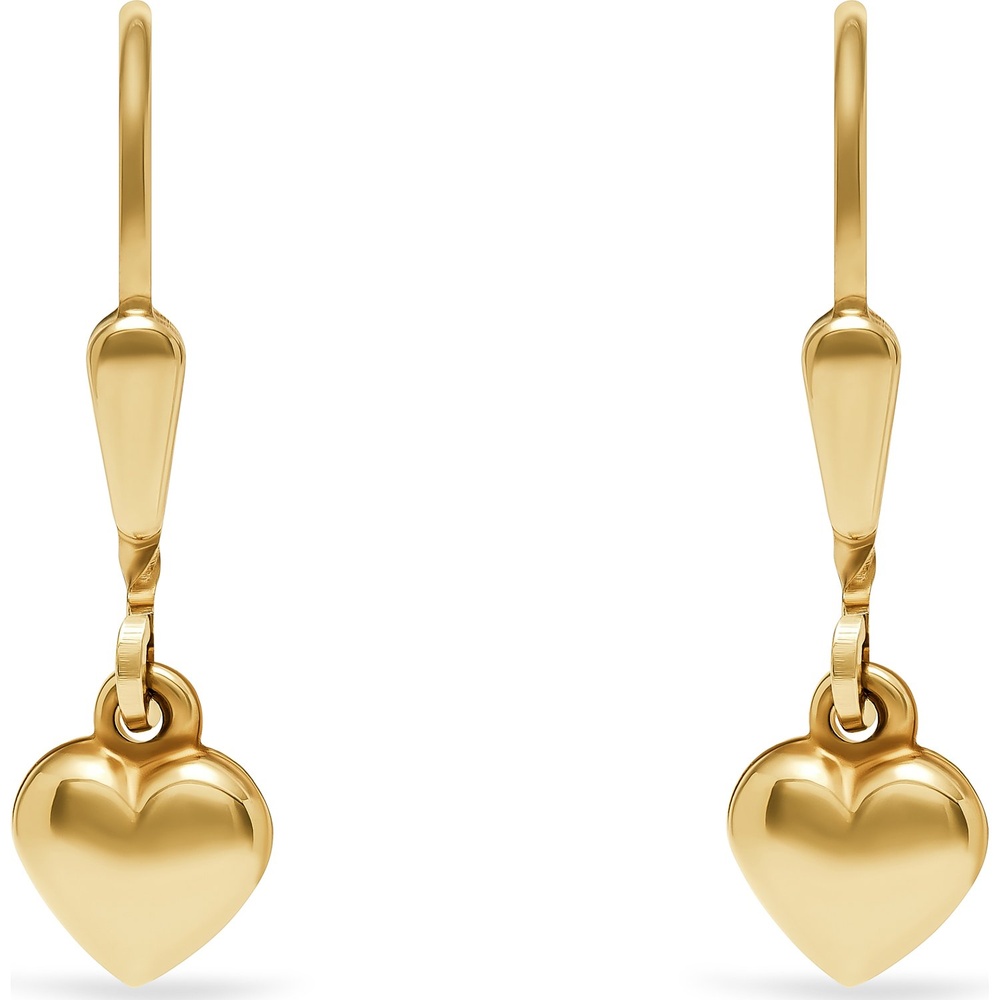FAVS Boucles d'oreilles 375 Or jaune Boucles d'oreilles