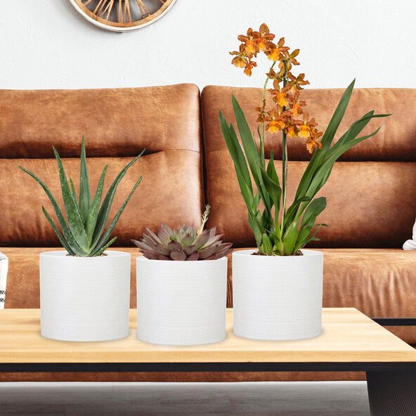 Keramik-Blumentopf 3er Set Ø 16 cm, Panna