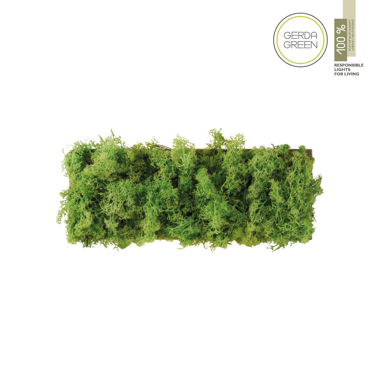 JUST LIGHT LED Wandleuchte GREEN CARLO, mit echtem Moos, 3000 K