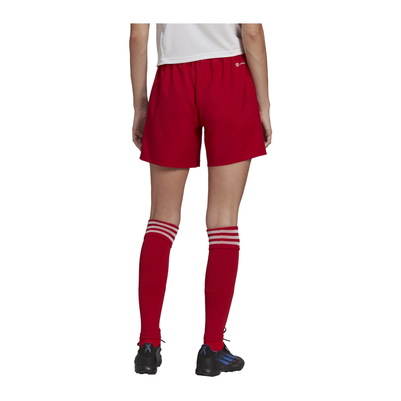 adidas Condivo 22 MD Short Damen Rot