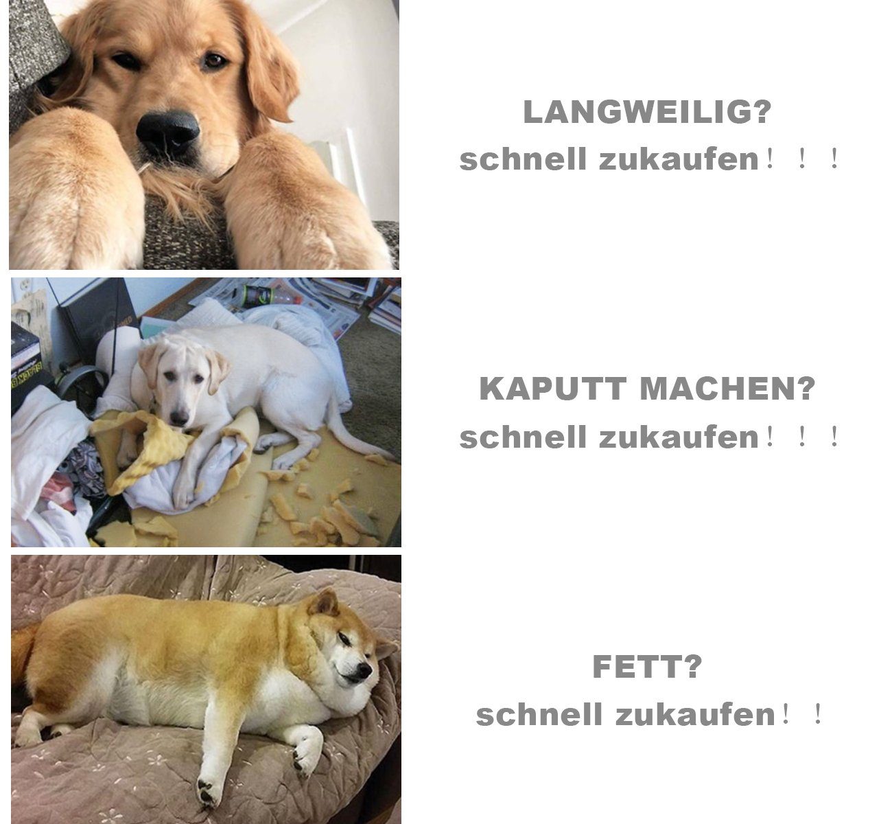 Homewit Hundematte Schnüffelteppich für Hunde 70x50cm Matte Hundespielzeug, Riechen rutschfest Hunde Intelligenzspielzeug