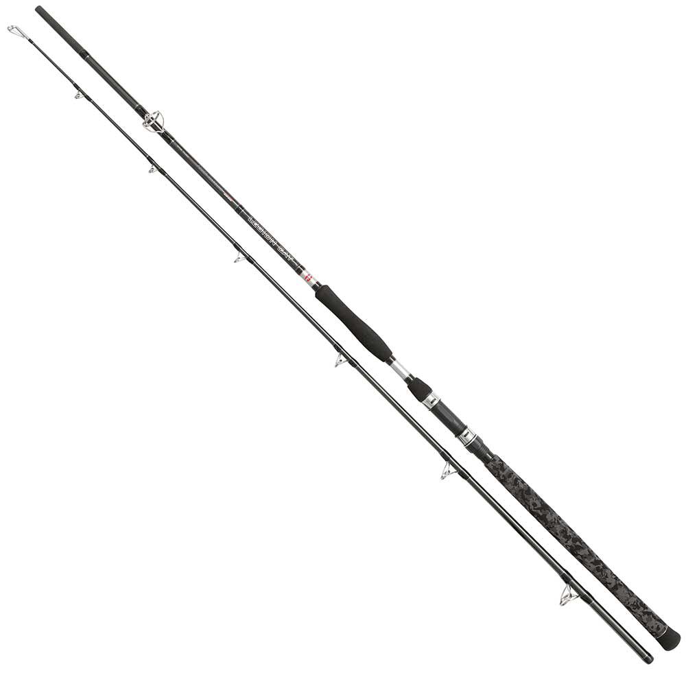 Penn Legion Cat Silver Power Allround 2,40m 200-400g Havskattsspö