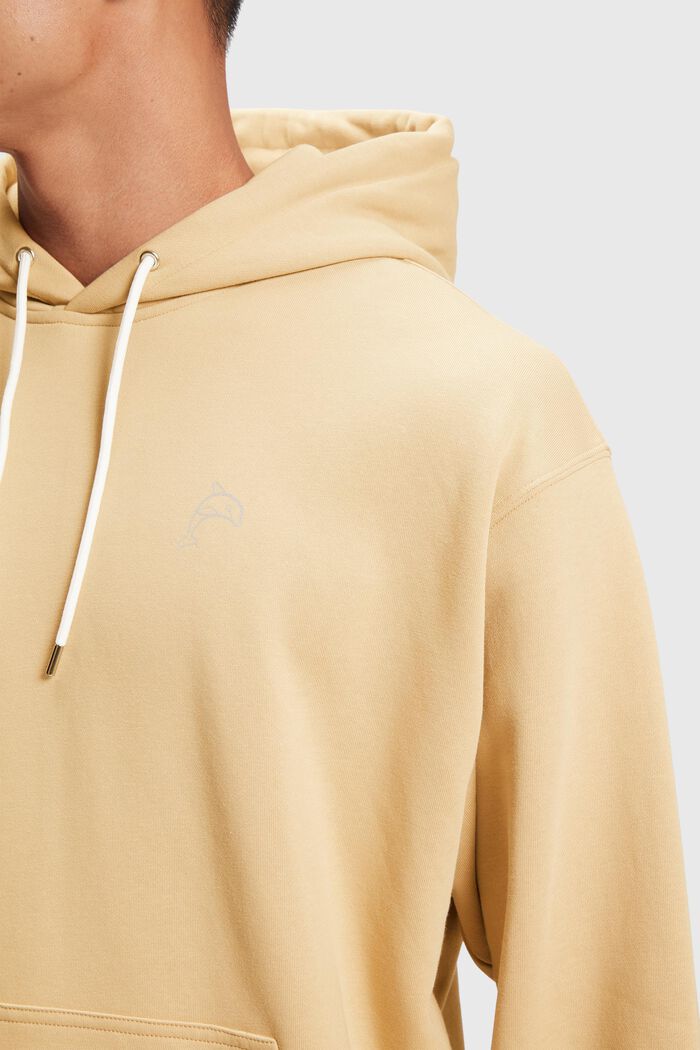 Color Dolphin Hoodie