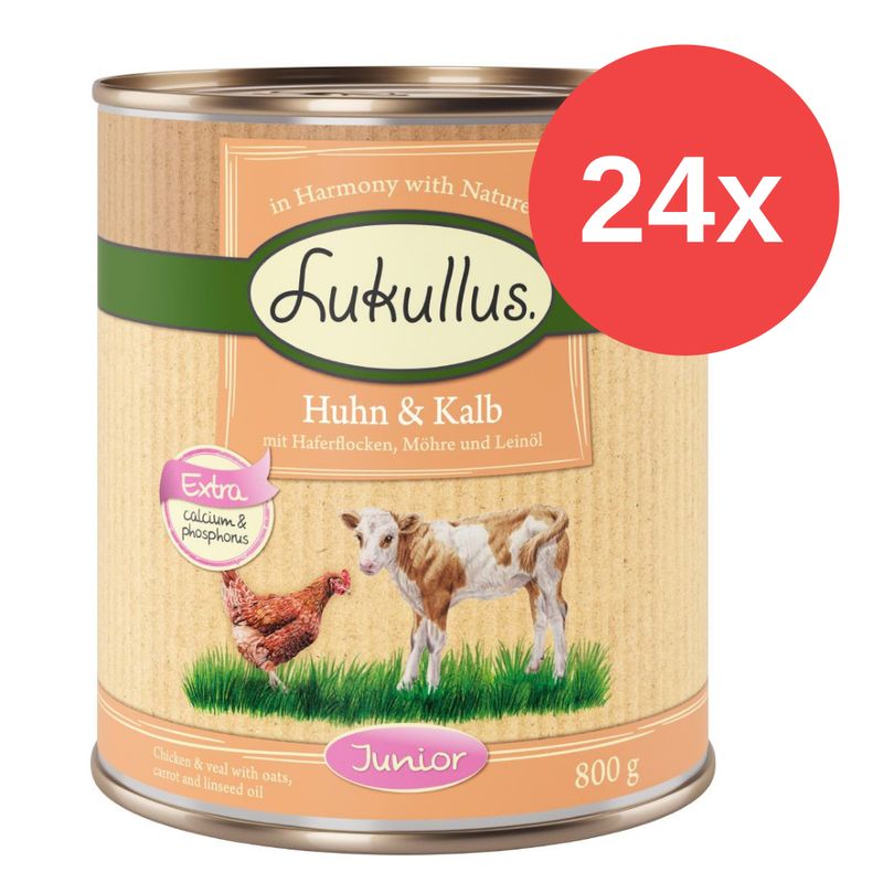 Sparpaket Lukullus Naturkost Junior 24 x 800 g
