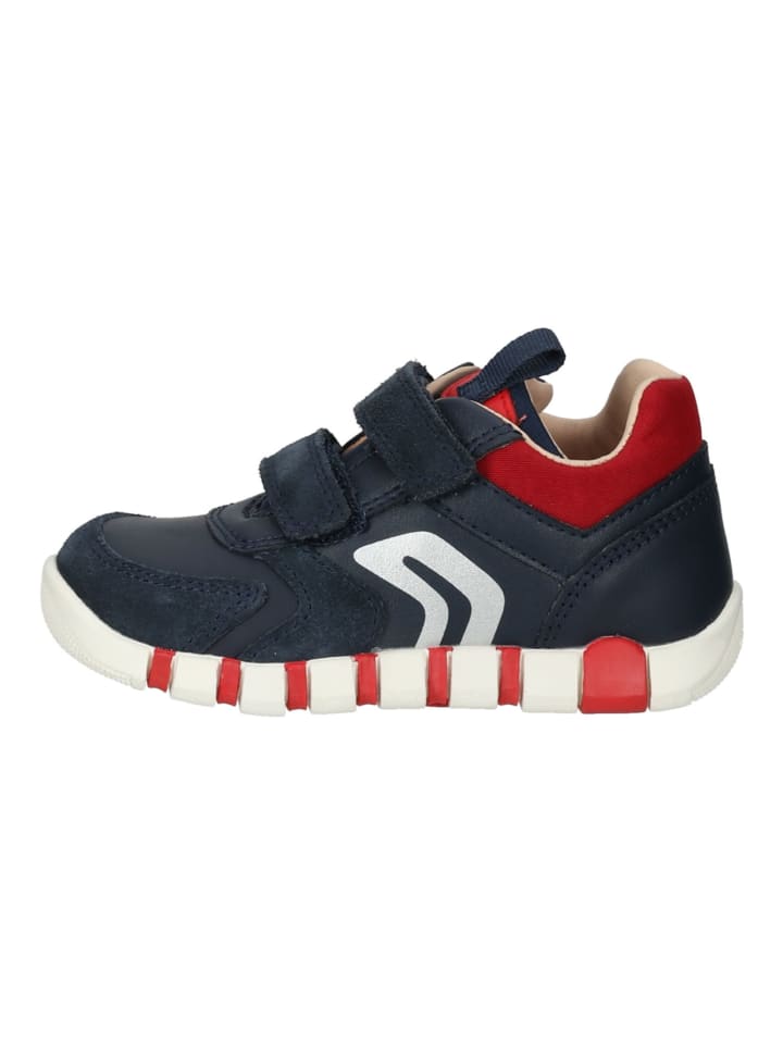 Geox Sneaker in Navy/Rot günstig kaufen
