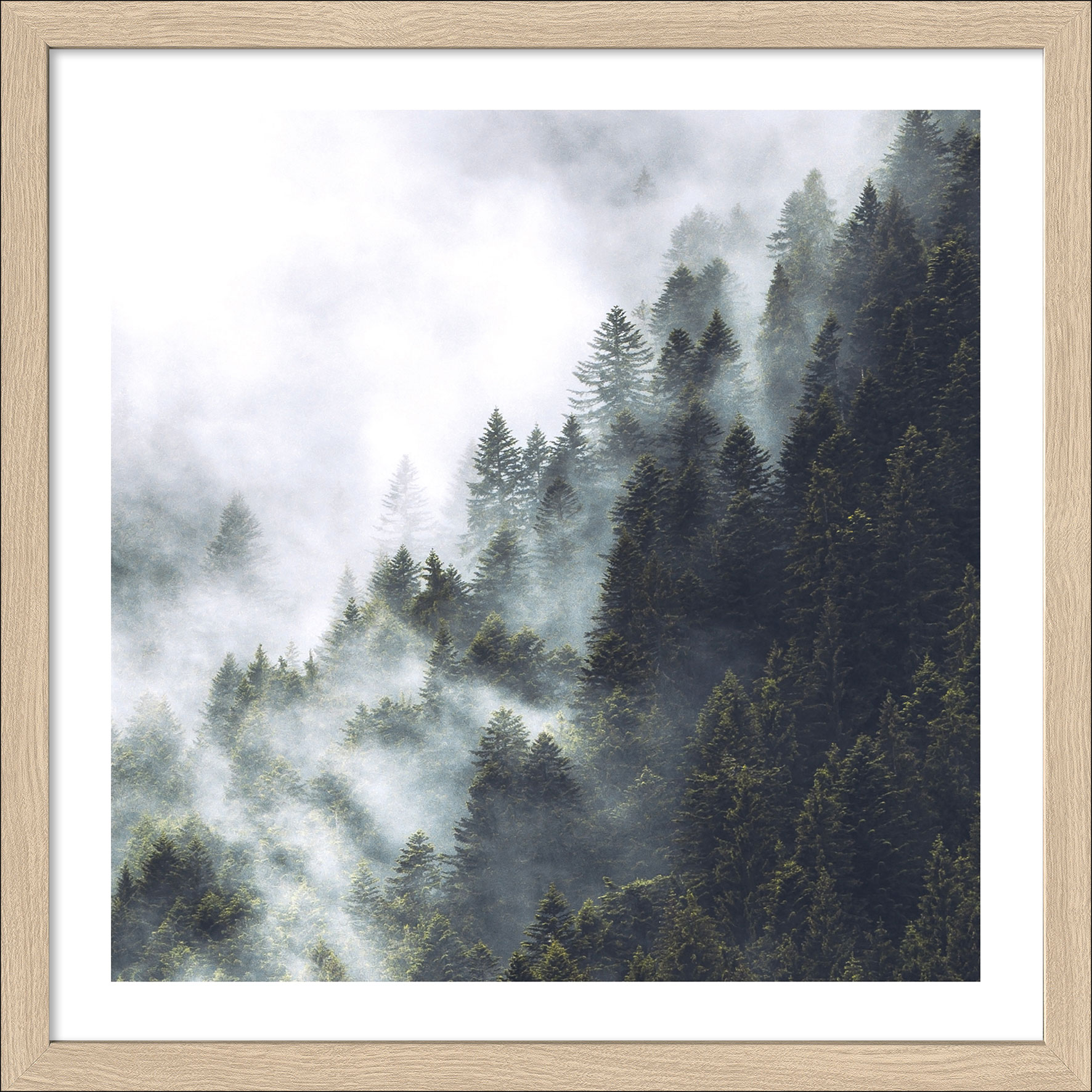 Pro ArtKunstdruck gerahmt 32,5x32,5cm