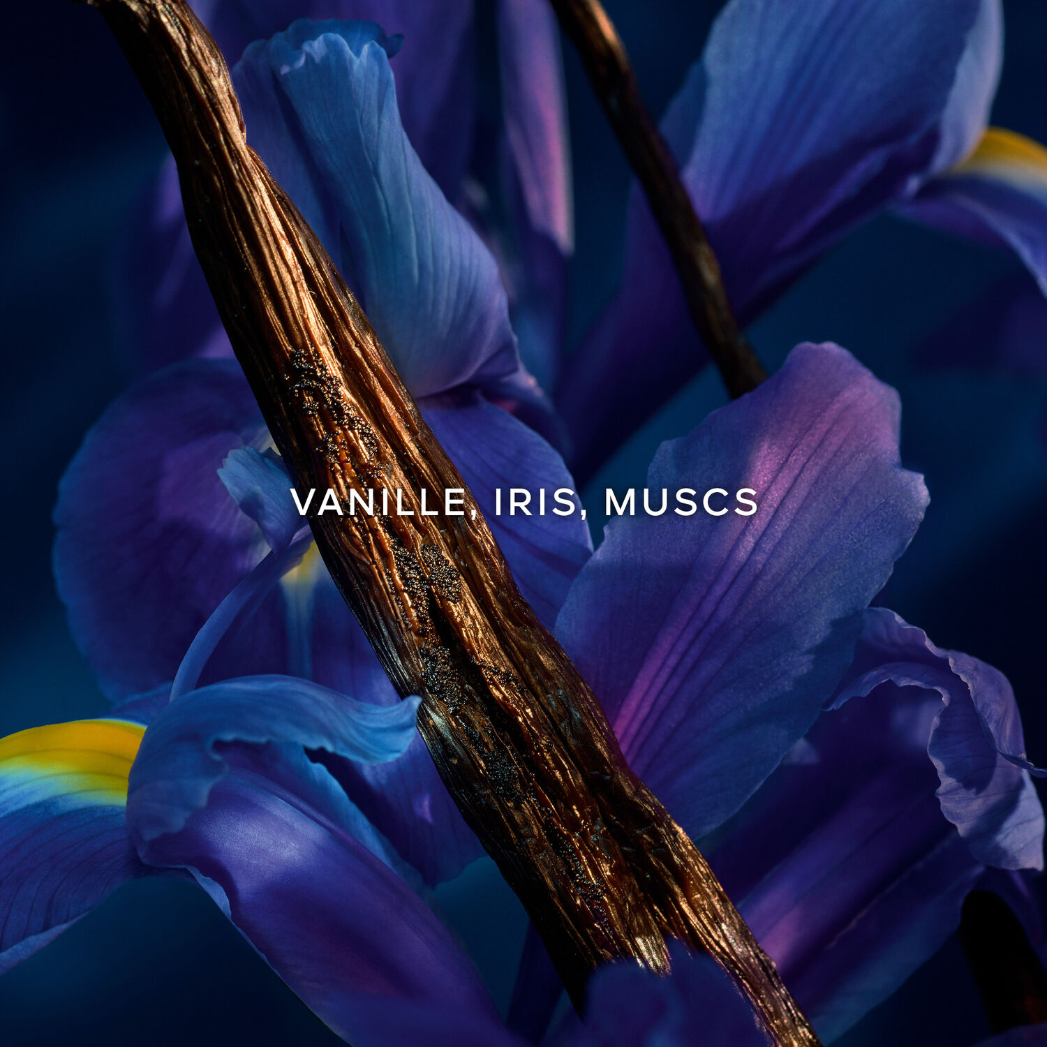 Guerlain SHALIMAR MILLÉSIME IRIS Eau de Parfum