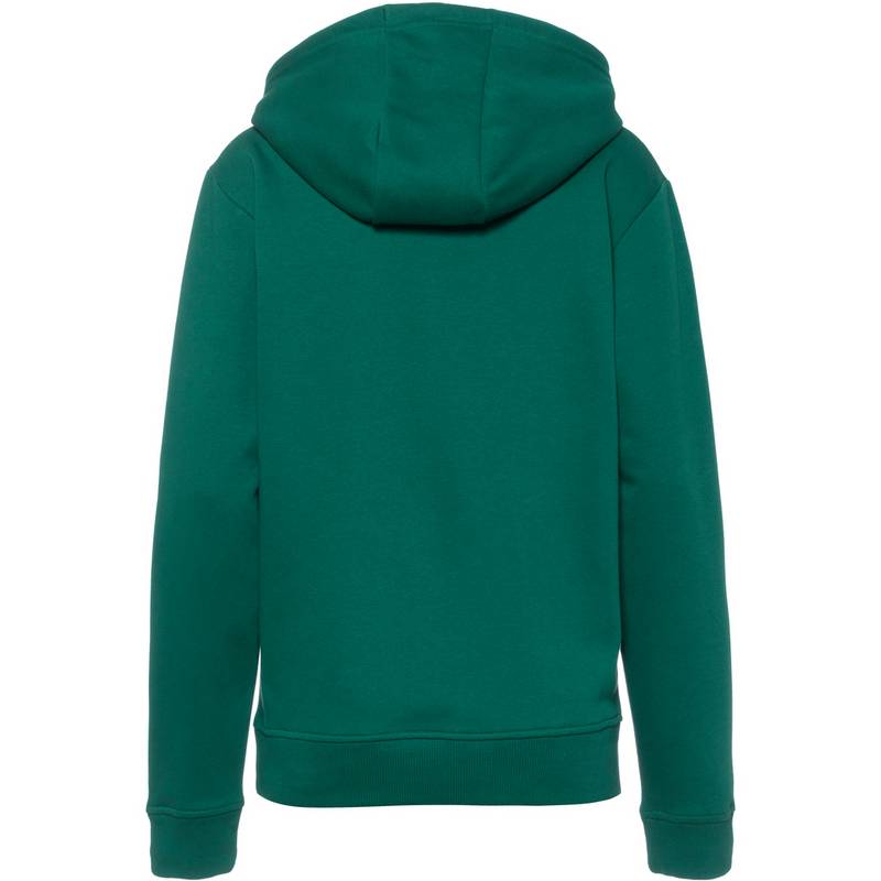 Ellesse Jozana Hoodie Damen