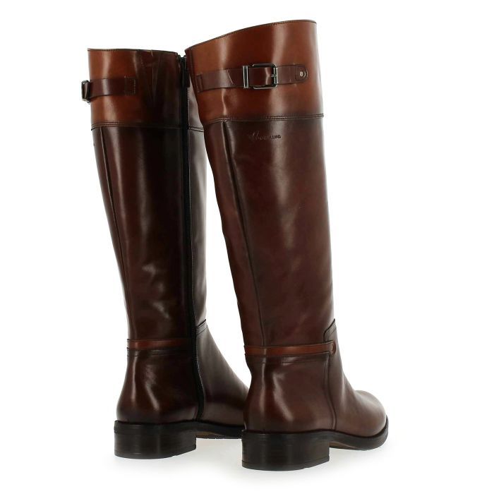 Dorking  TIERRA 7687 - Cognac foncé