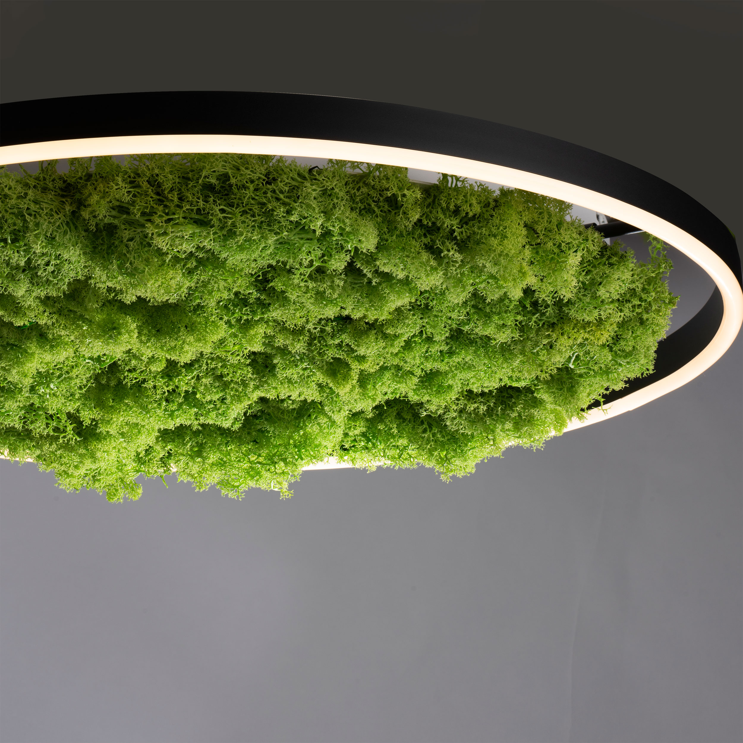 JUST LIGHT.LED-Deckenleuchte 1flg