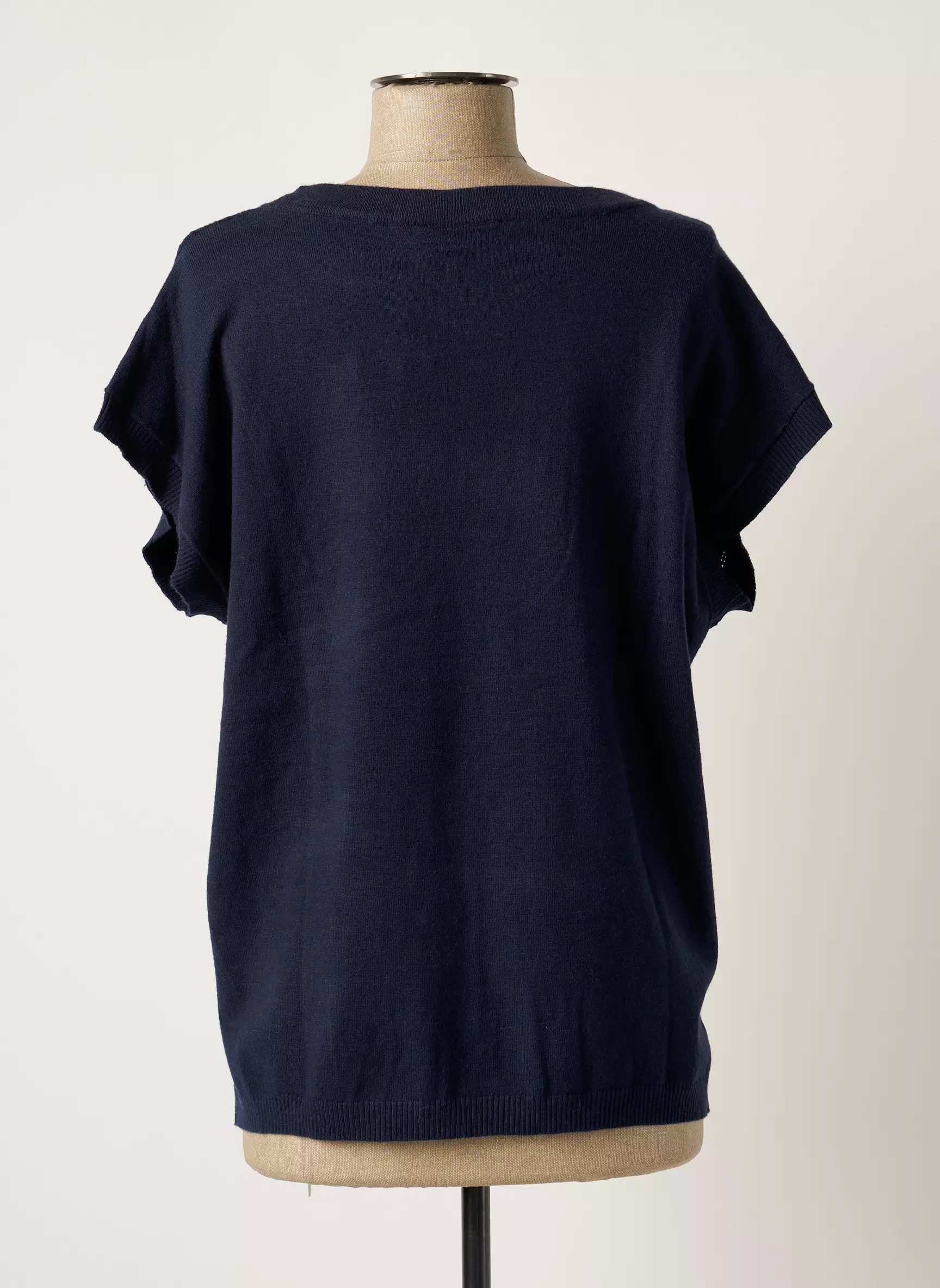 Fransa Pulls Femme couleur bleu