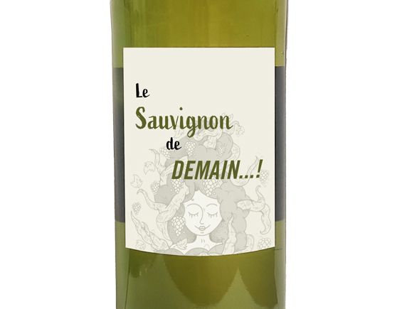 Domaine de Gournier Demain! Sauvignon Blanc 2021 Languedoc-Roussillon Cévennes