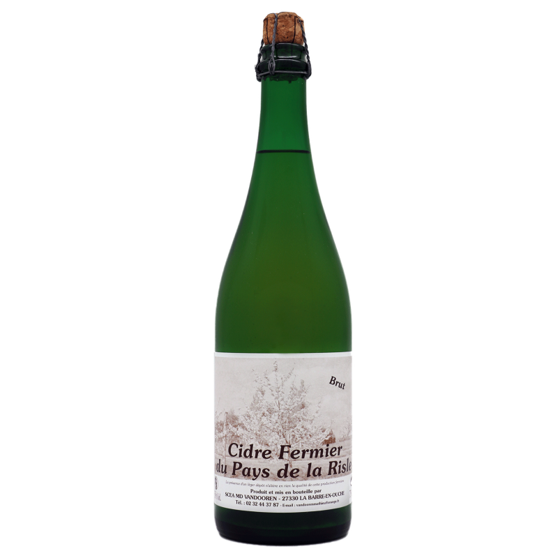 Vandooren Brut
