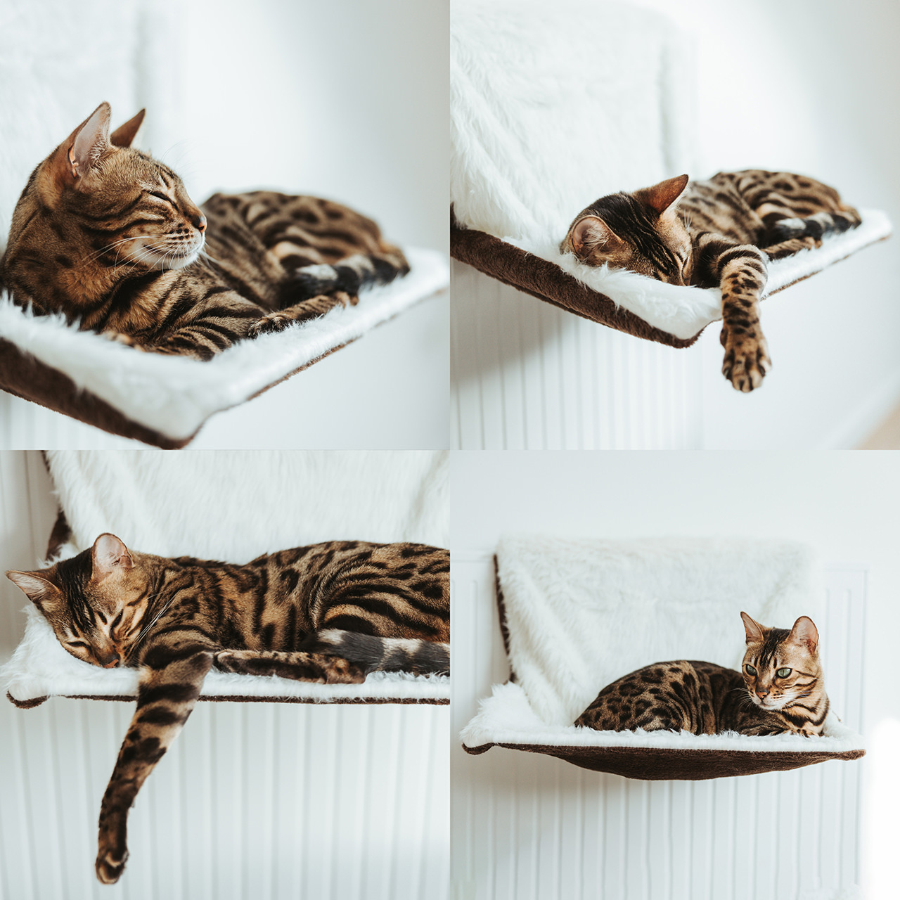 Canadian Cat Company Katzenhängematten & Fensterliegeplätze Canadian Cat Company Liegemulde für Heizkörper braun