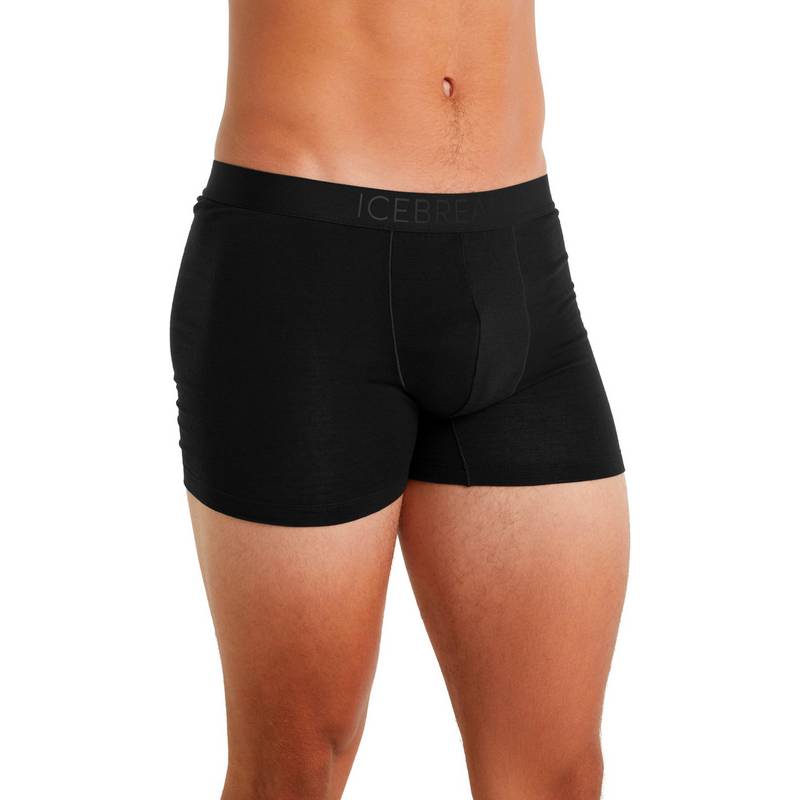 Icebreaker Anatomica Unterhose Herren