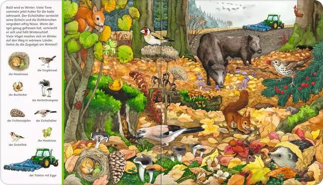 Mein großes Sachen suchen: Bei uns im Wald