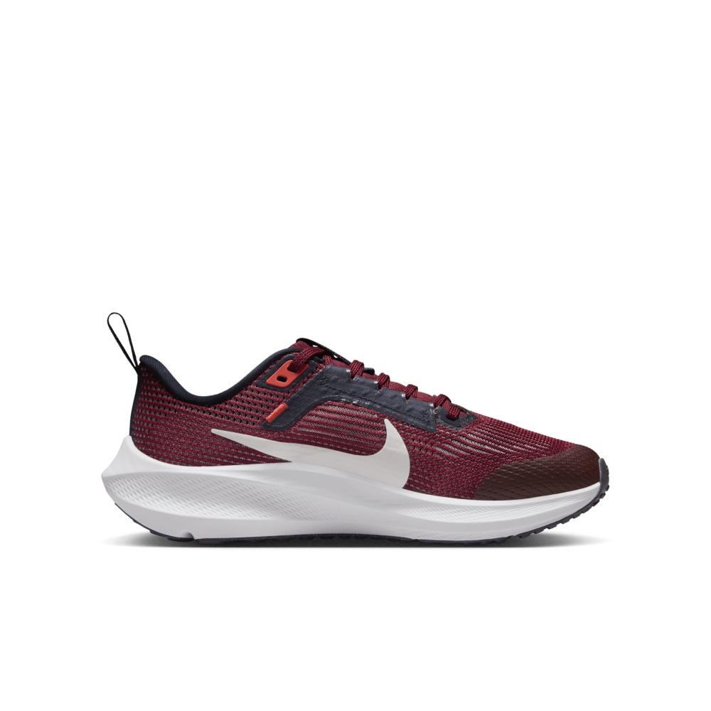 Nike Air Zoom Pegasus 40 DX2498-009 / grau