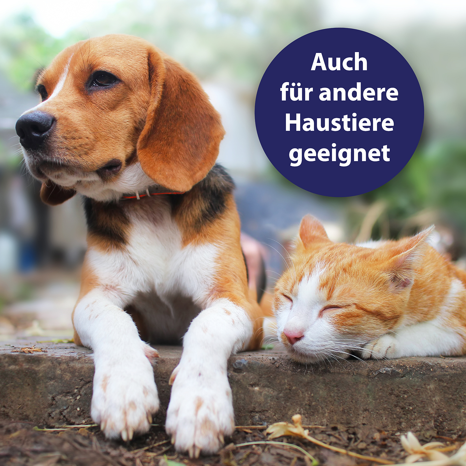Canosept Fellpflege Canosept Hautpflege Spray für Hunde 250 ml