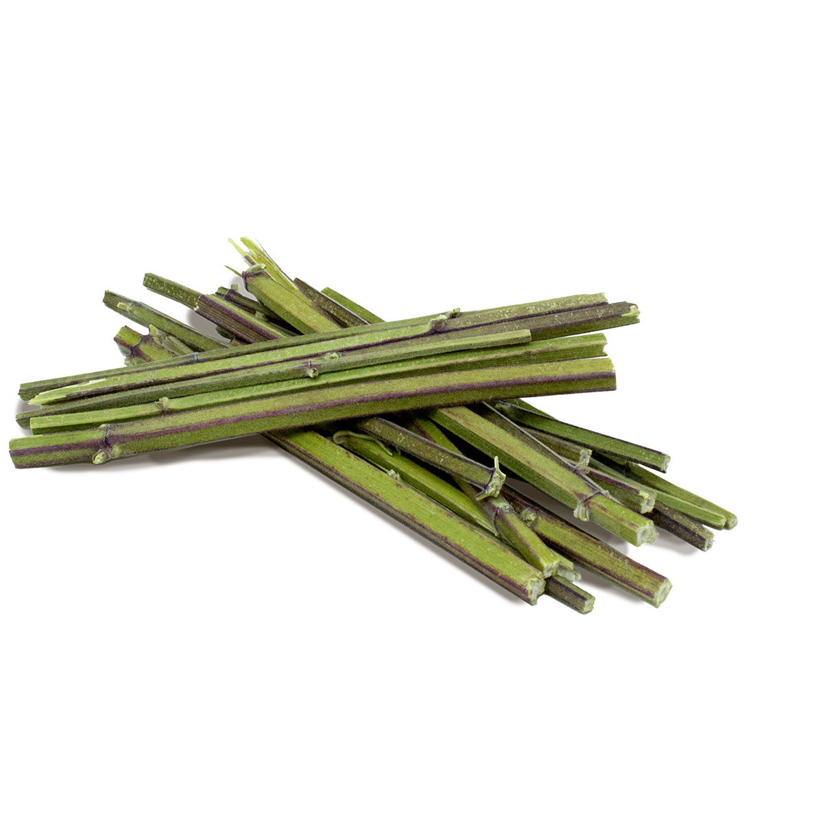 JR Farm Cat Bavarian Catnip Katzenminze-Sticks 6g