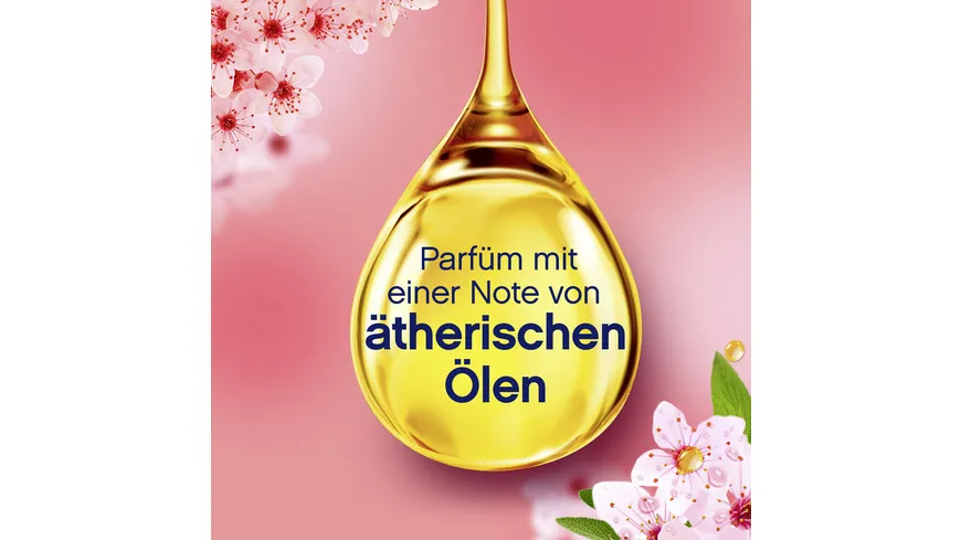 Lenor Weichspüler Konzentrat Kirschblüte & Edelsalbei 32WL 800 ml