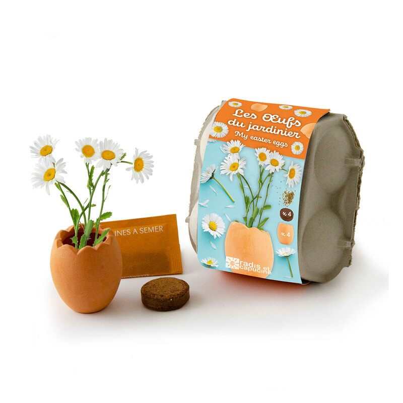 Les oeufs du jardinier Pâquerettes à faire pousser Radis et capucine