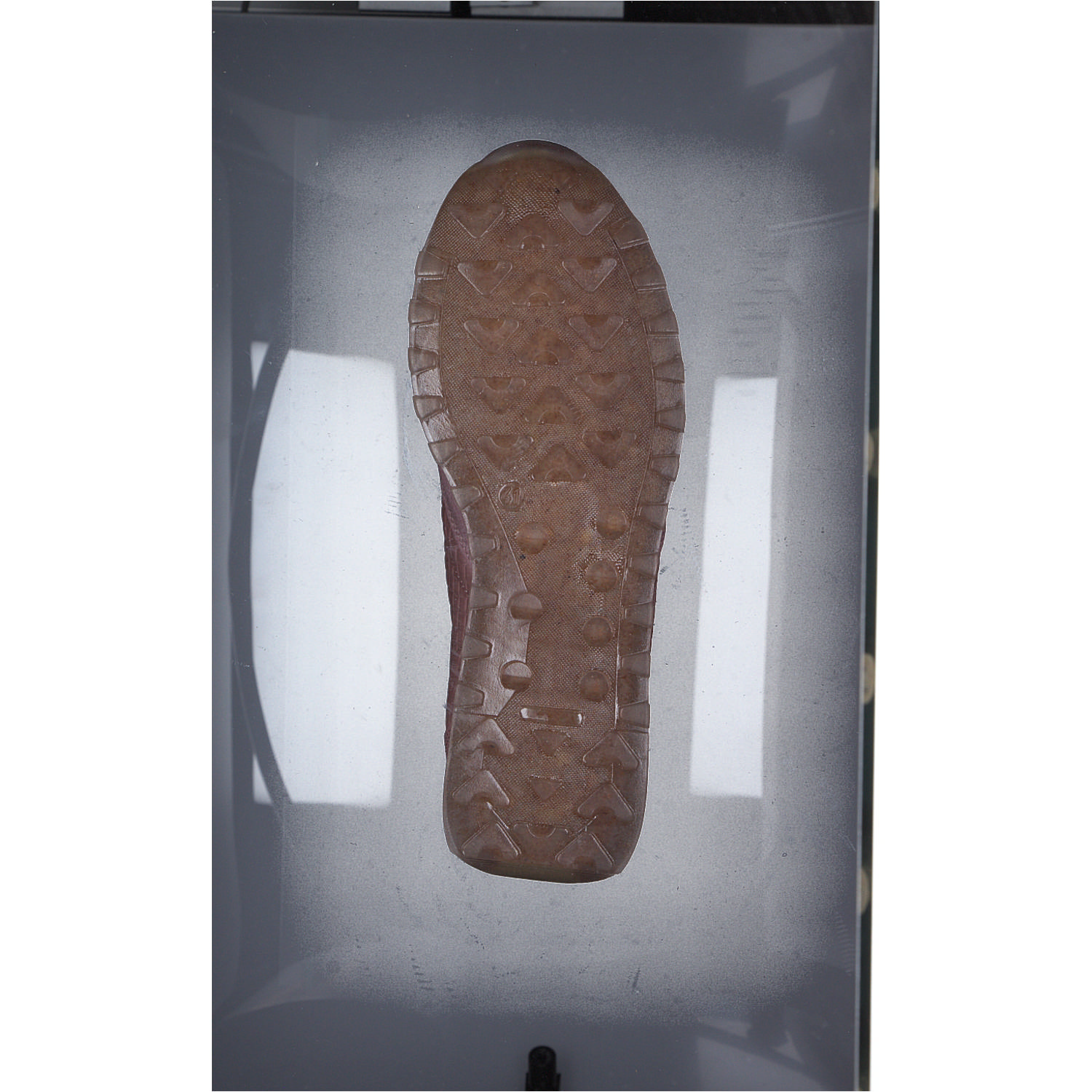 Cetti C848 SRA W, Sneakers Low, Damen, Rosa (Old Rose)