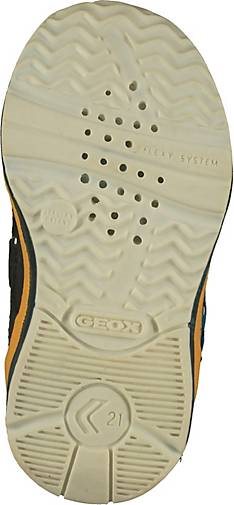 Geox Sneaker