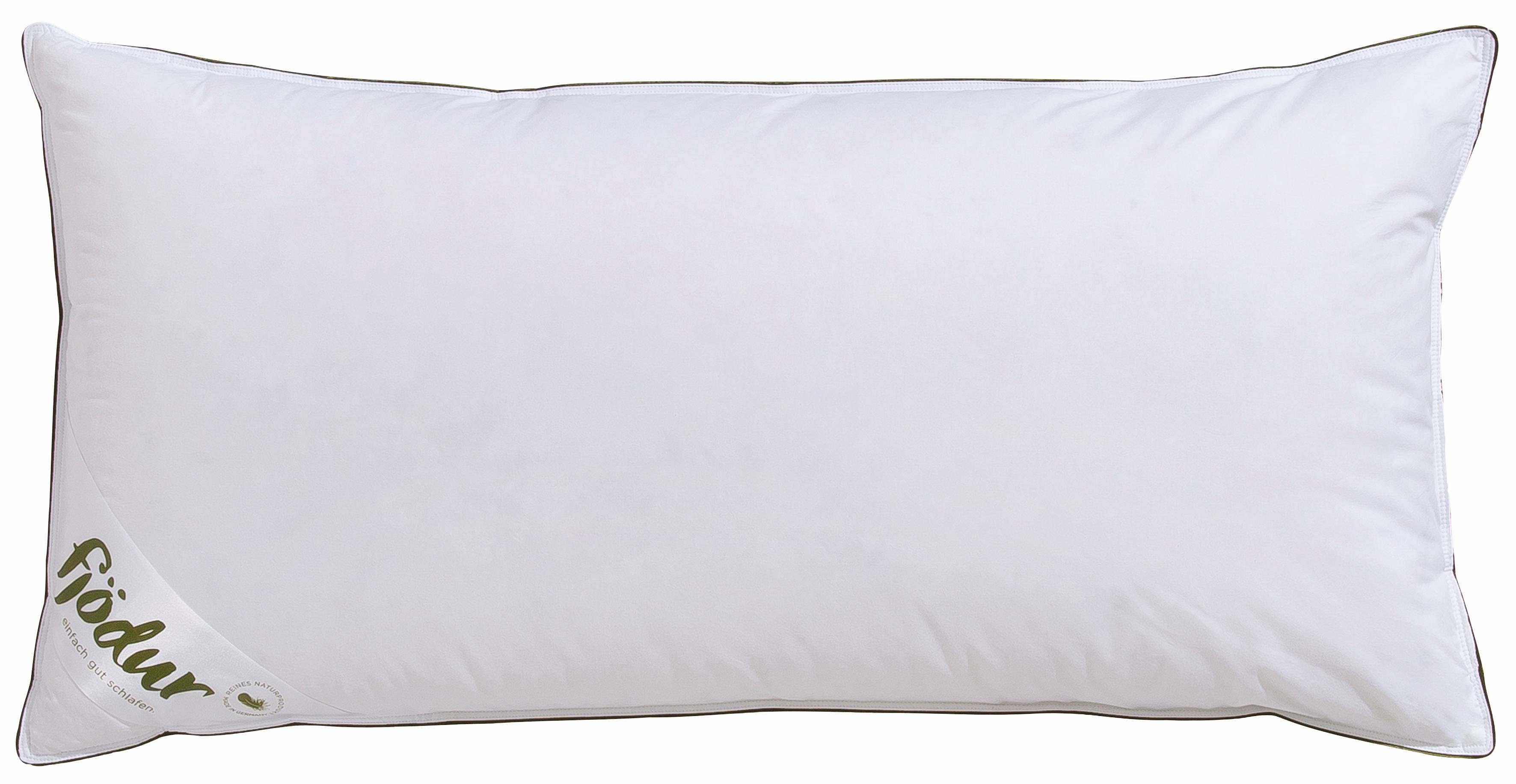 3-Kammer-Kopfkissen Felix, fjödur, Füllung: 90% Daunen & 10% Federn, Bezug: 100% Baumwolle, 3-Kammer-Kopfkissen, Daunenkissen in 40x80 oder 80x80 cm erhältlich