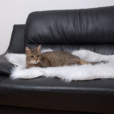 Smartpet Kunstfell Schaf