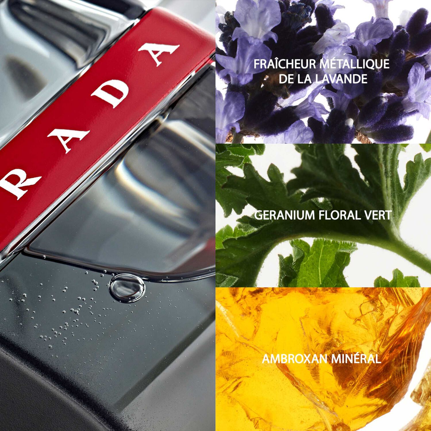 Prada Luna Rossa Carbon Eau de Toilette