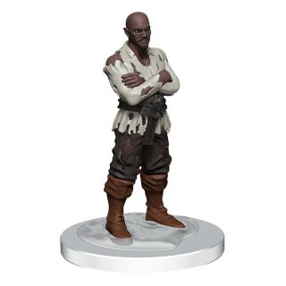 D&D Icons of the Realms: Curse of Strahd Miniaturen vorbemalt Denizens of Castle Ravenloft (7)