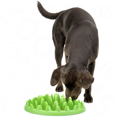 NORTHMATE ® Green Feeder