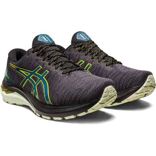 HERREN LAUFSCHUHE GT-2000™ 11 GTX