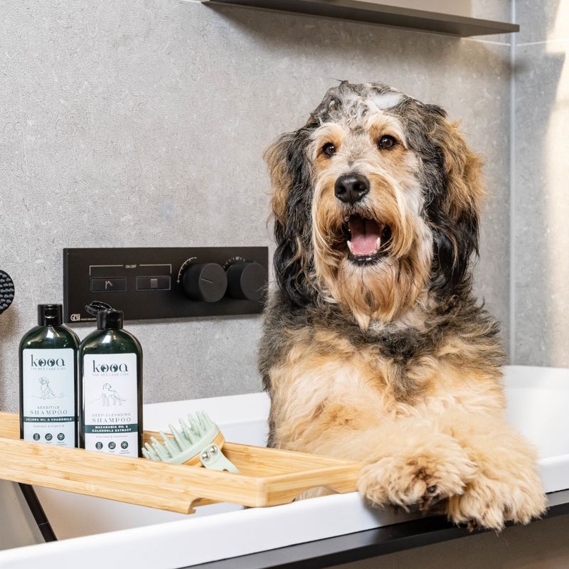kooa Tiefenreinigungsshampoo zu TOP-Preisen