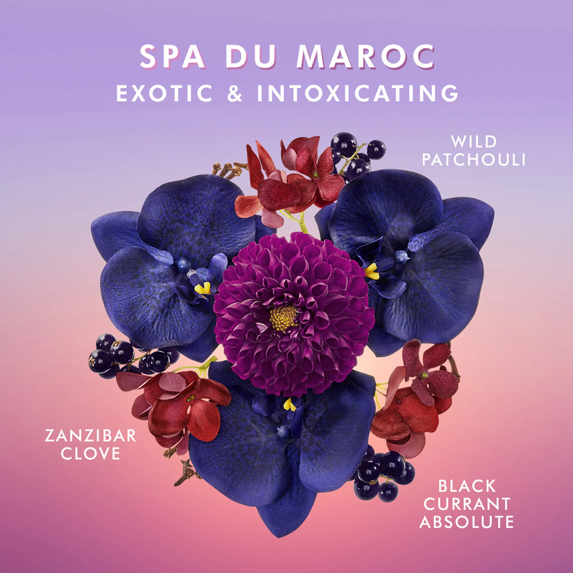 Vartalon käsivoide Spa du Maroc - Käsihoito
