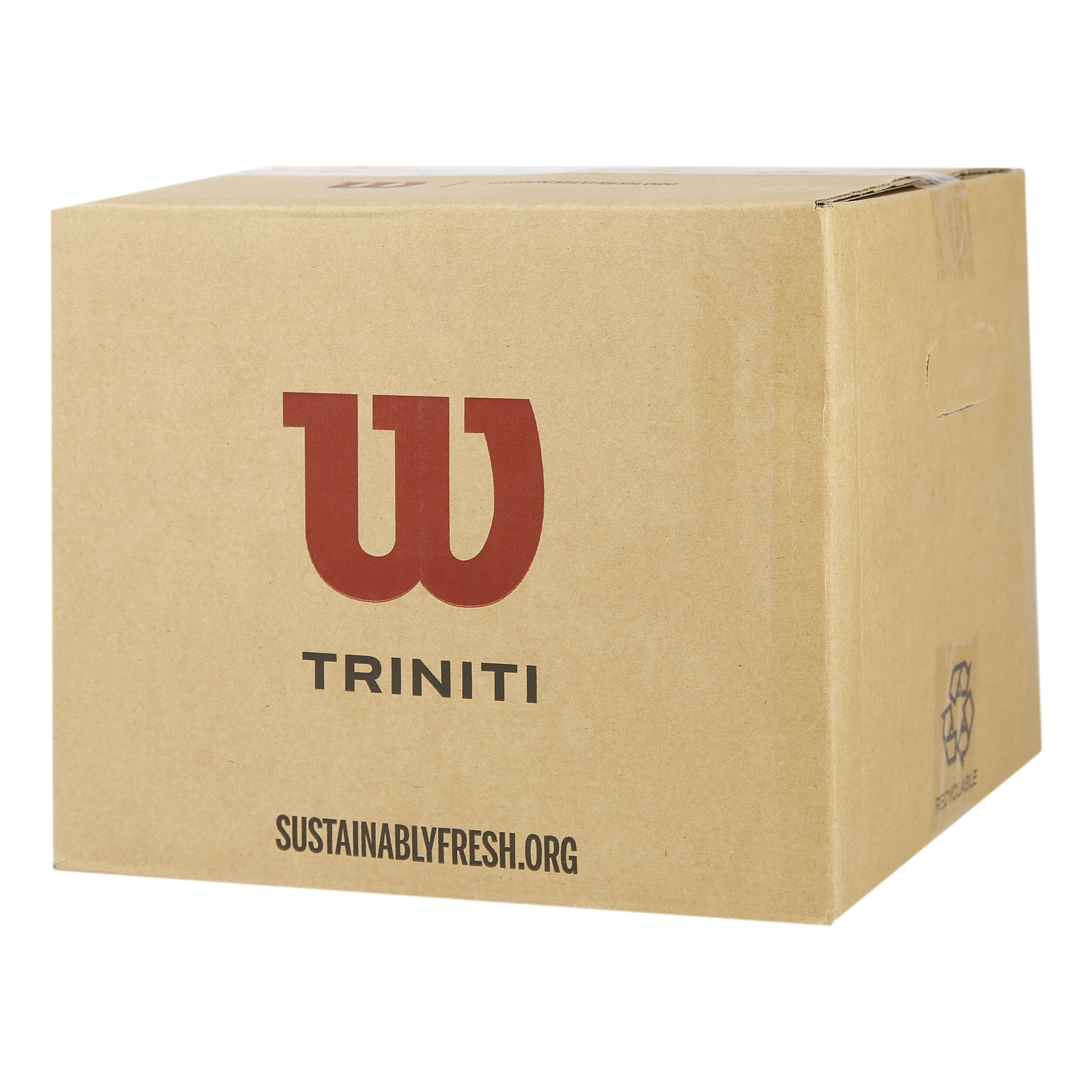 Triniti Club 36er Pack Special Edition