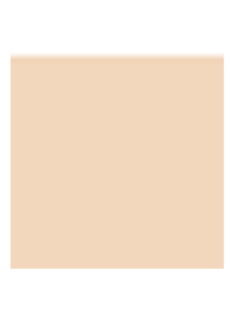 Guerlain Terracotta Le Teint fonds