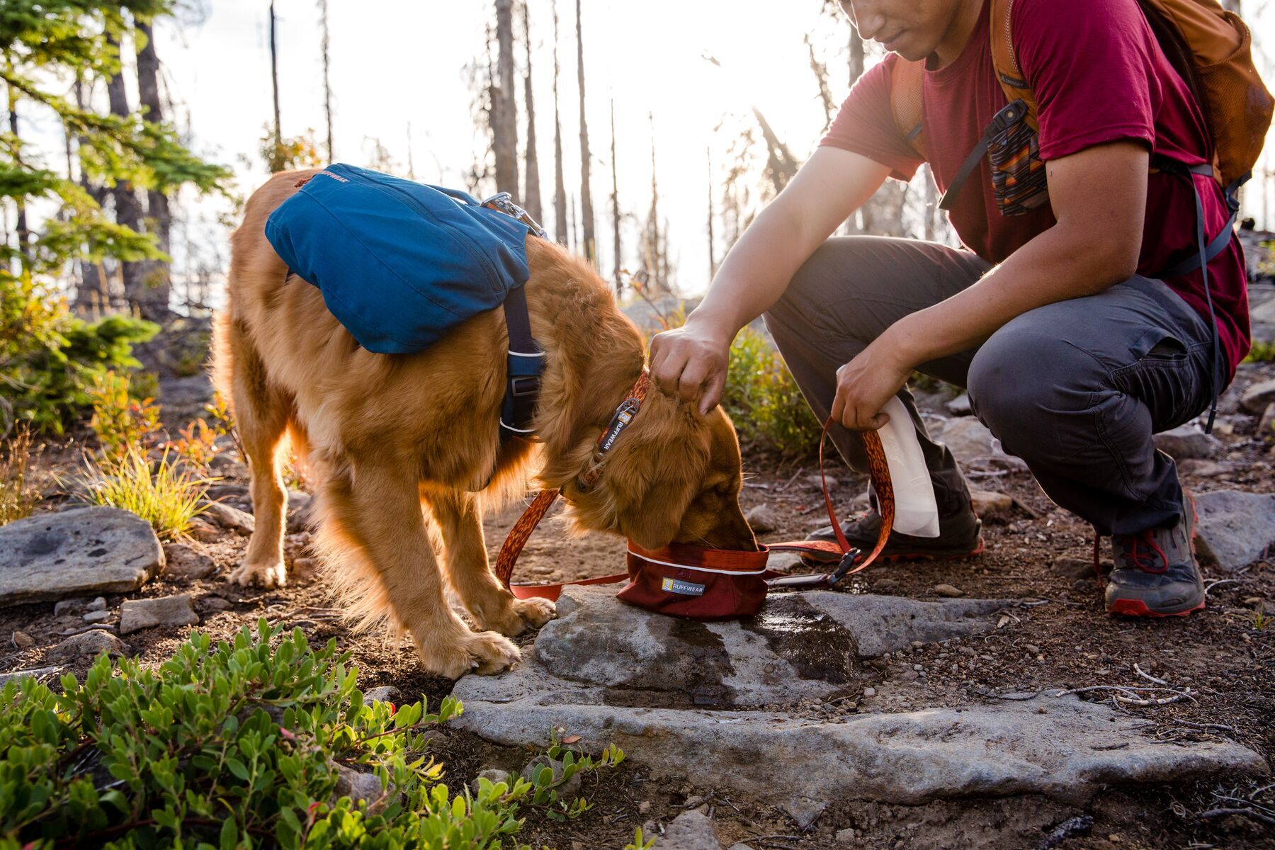 Ruffwear Hundeleinen Ruffwear Flat Out™ Leine rot/ gelb