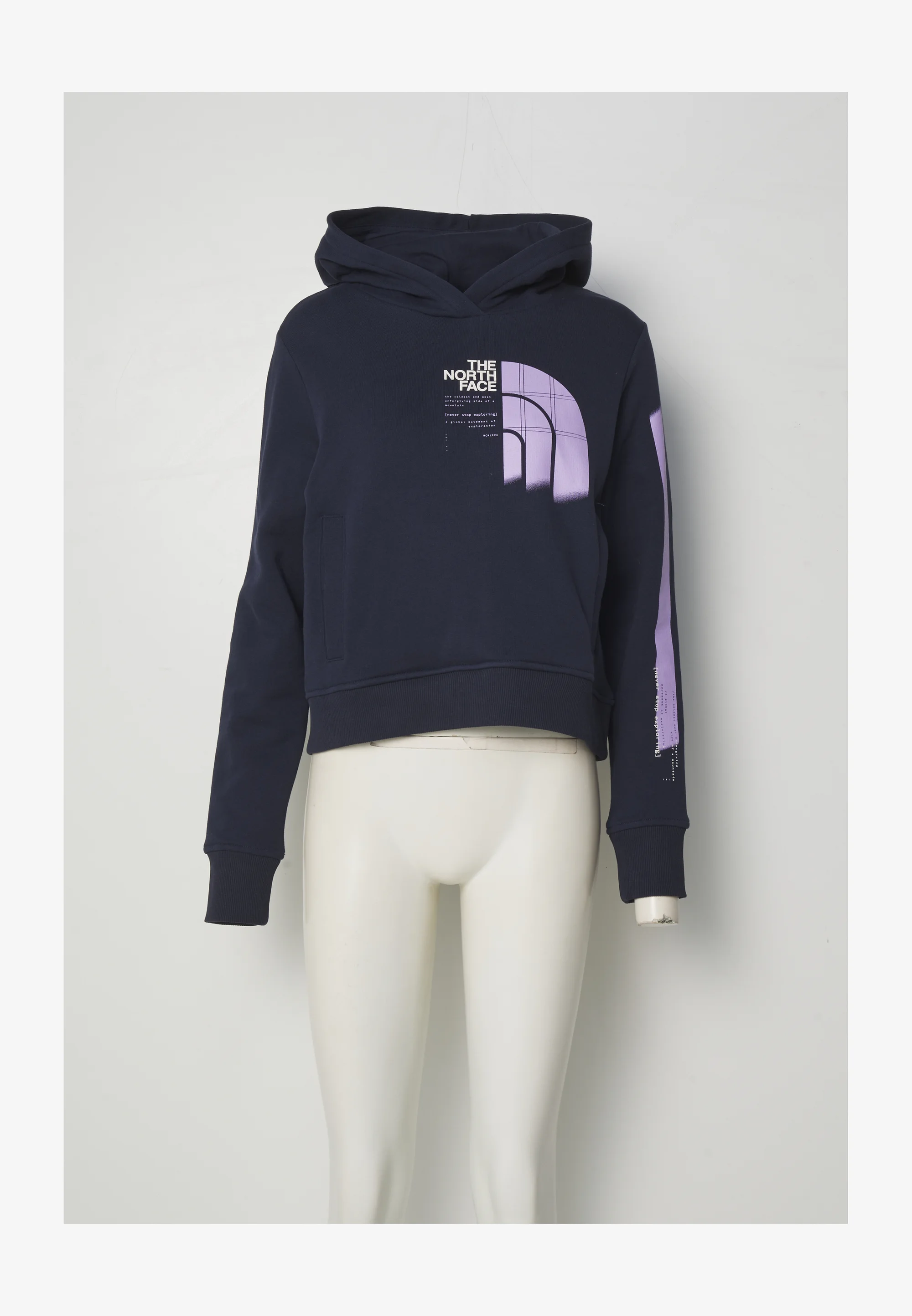 Sudadera con capucha gráfica The North Face